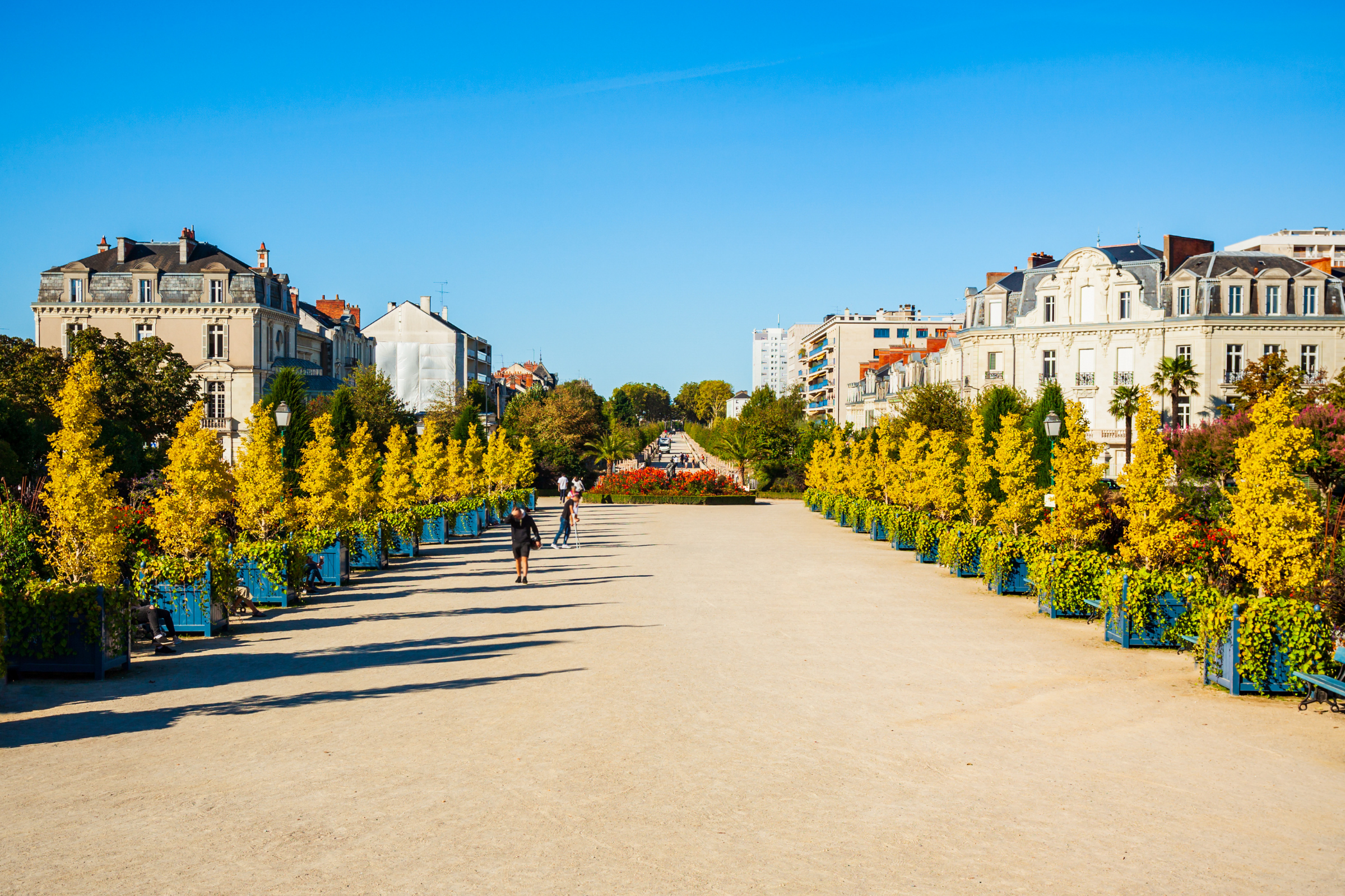 114 angers.webp